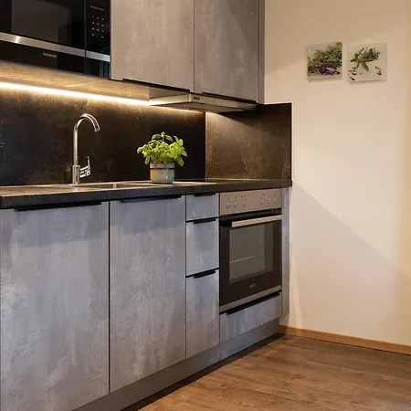 Landhaus Grossarl Appartement