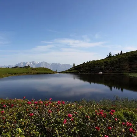 דירה Landhaus Grossarl *